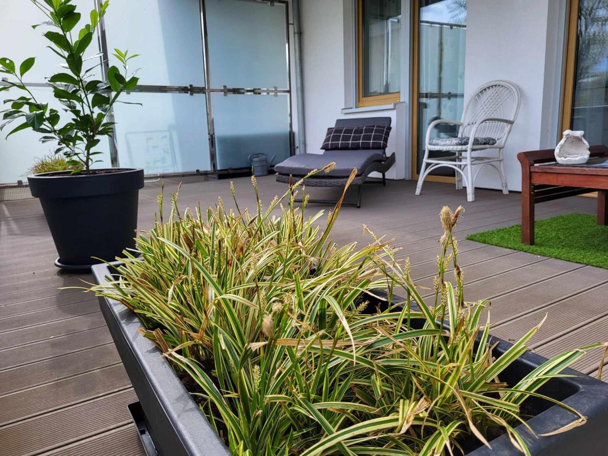 Miodowy Dom Exspanse Apartament 2 Lub 3 Pokoje Z Tarasem I Parkingiem Kołobrzeg Extérieur photo